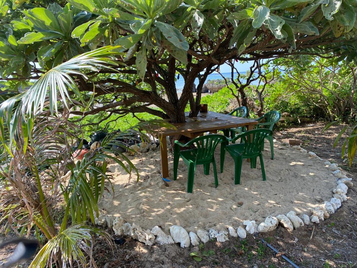 Ken'S Beachfront Cafe & Lodge, Bl2, Oceanfront And Free Canoe Rental Onna Zewnętrze zdjęcie